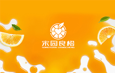 某良橙——珠海LOGO设计